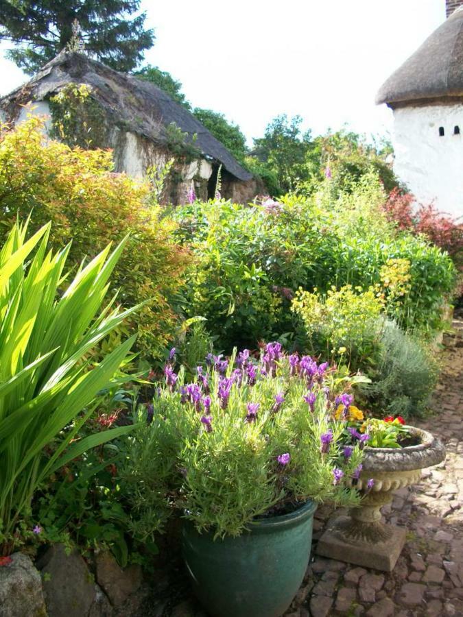 Middletown Farmhouse B&B Okehampton Εξωτερικό φωτογραφία