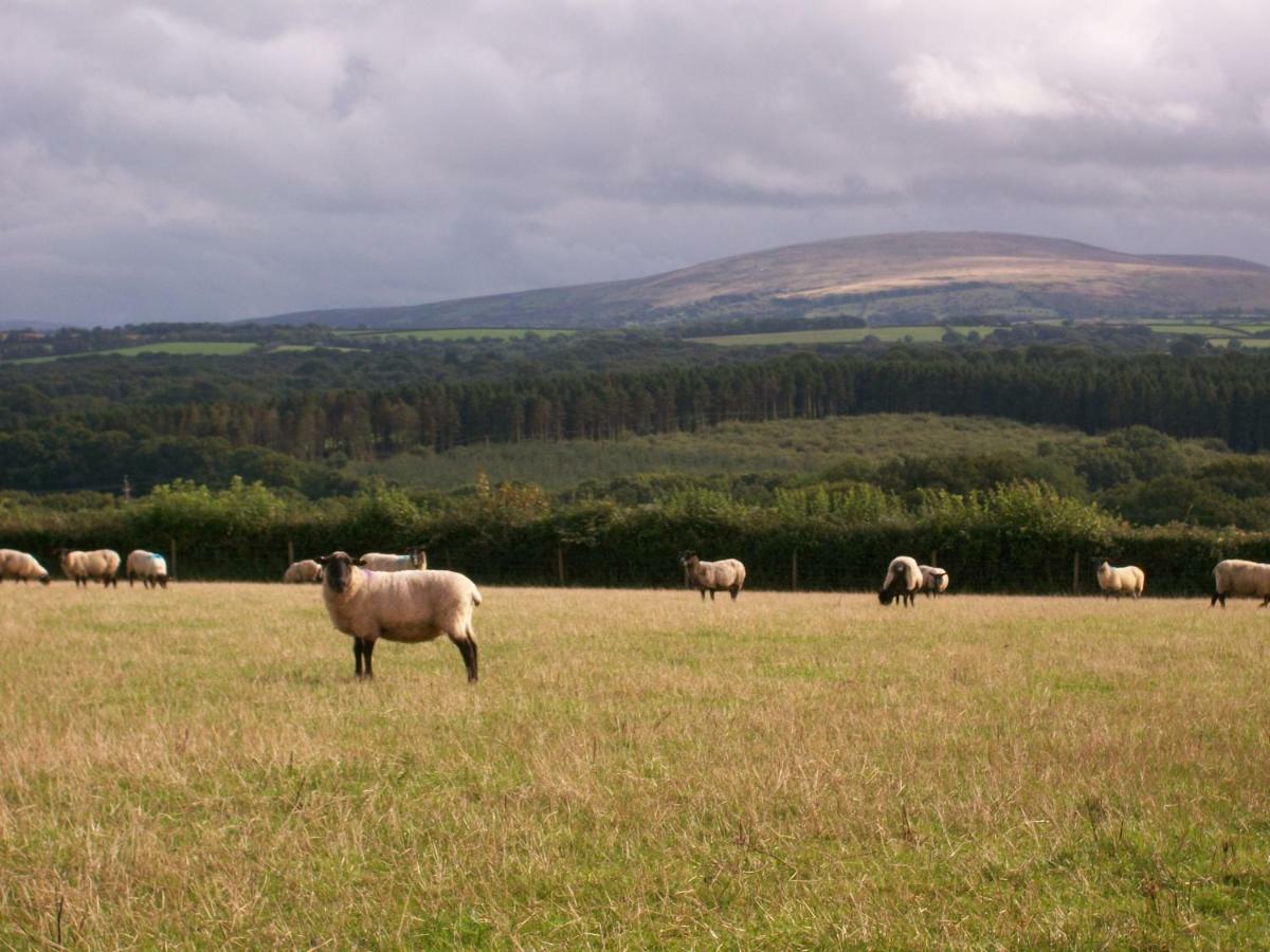 Middletown Farmhouse B&B Okehampton Εξωτερικό φωτογραφία